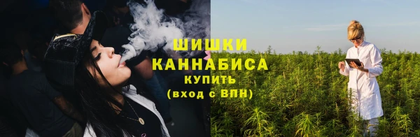 бутират Инсар