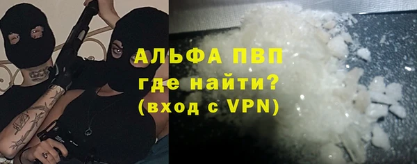 ПСИЛОЦИБИНОВЫЕ ГРИБЫ Инта