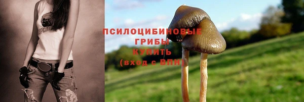 прущие крисы Иннополис