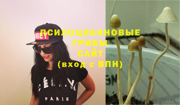 ПСИЛОЦИБИНОВЫЕ ГРИБЫ Инта