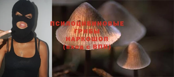 бутират Инсар