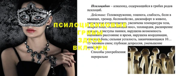 прущие крисы Иннополис