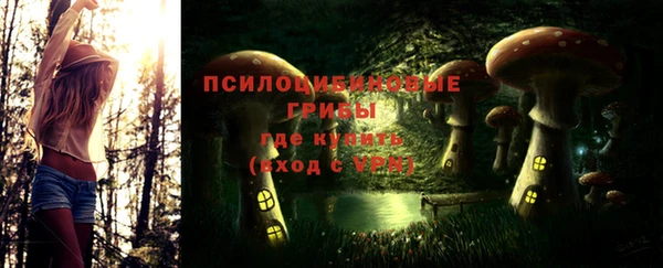 бутират Инсар
